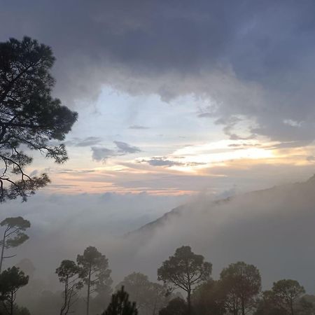 The Western Heights I Serviced Apartments I Pvt Balcony I Lift I Peacefull Area I Family Accomodation I Kasauli I By Exotic Stays Eksteriør billede