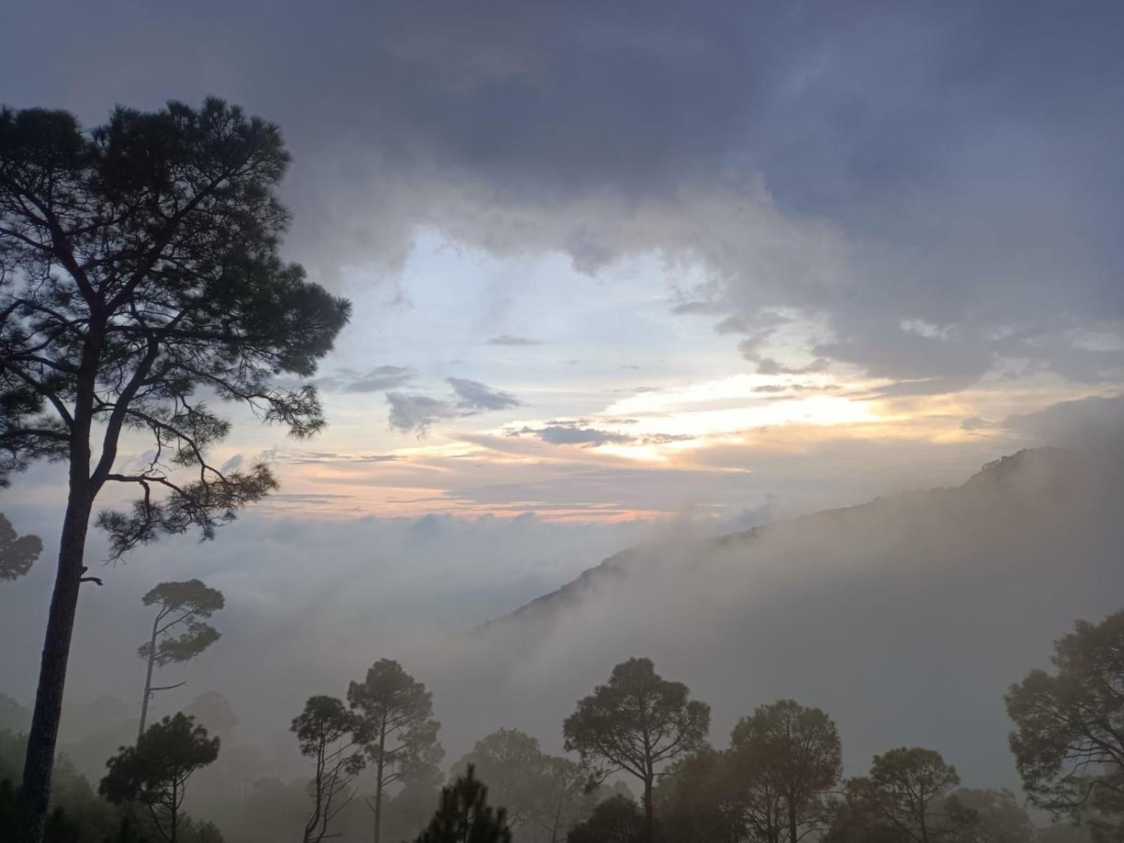 The Western Heights I Serviced Apartments I Pvt Balcony I Lift I Peacefull Area I Family Accomodation I Kasauli I By Exotic Stays Eksteriør billede